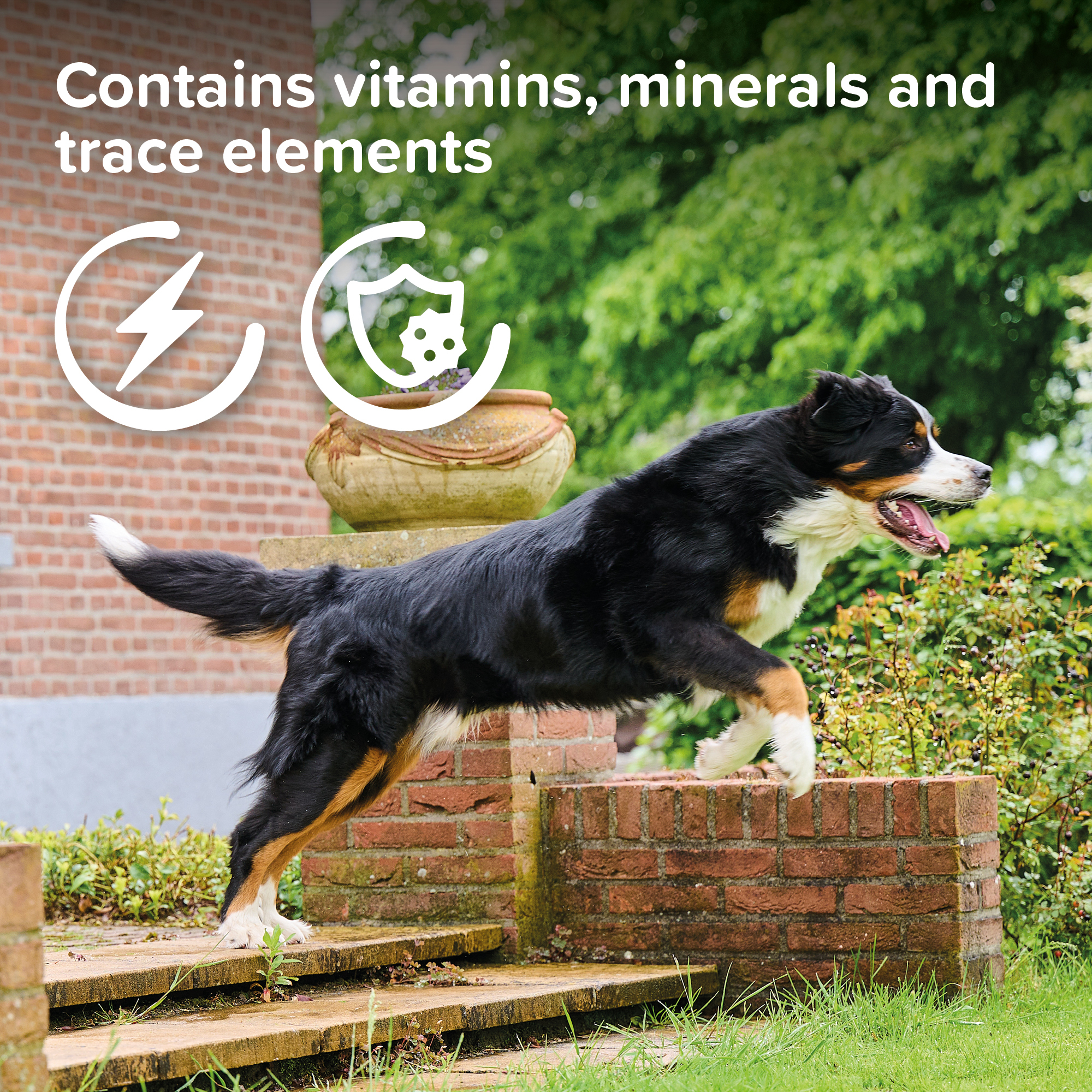 Beaphar Multi Vitamin Tablets Top 10 Cat 180tab - Image 6