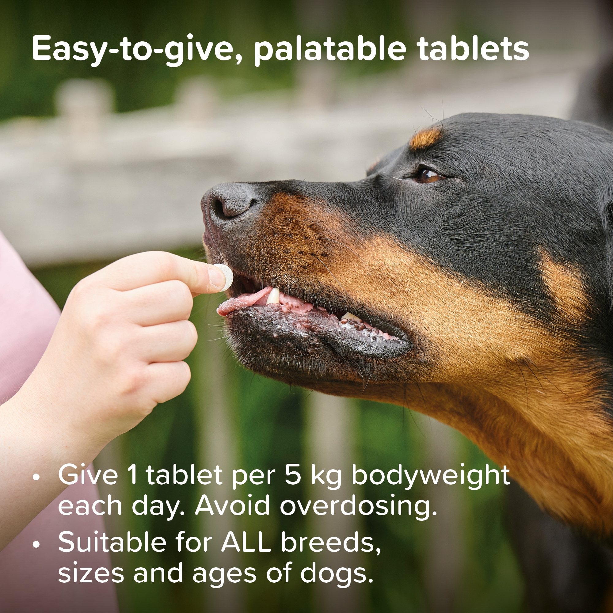 Beaphar Multi Vitamin Tablets Top 10 Cat 180tab - Image 4