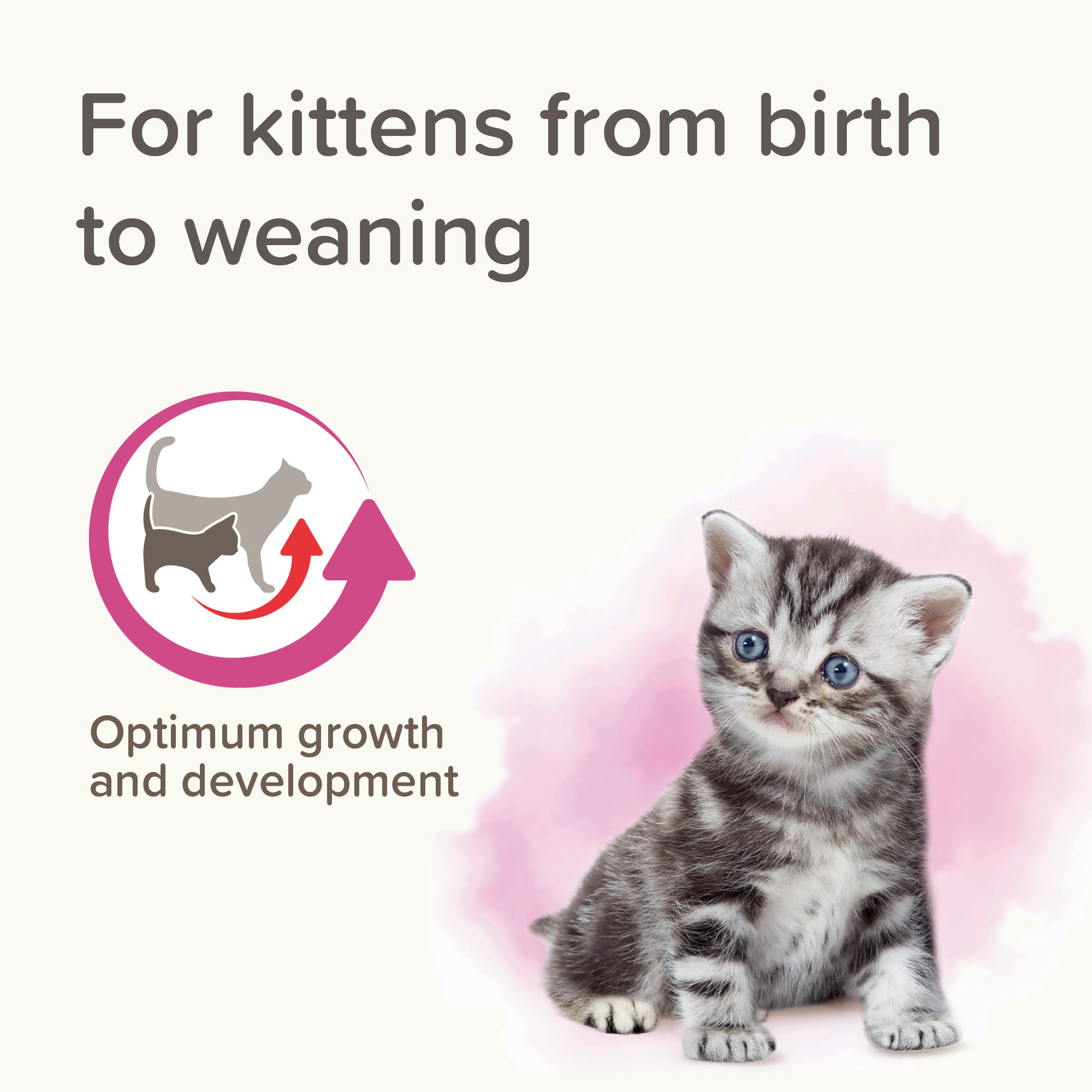 Beaphar Lactol Milk Replacer For Kittens 250g - Image 5